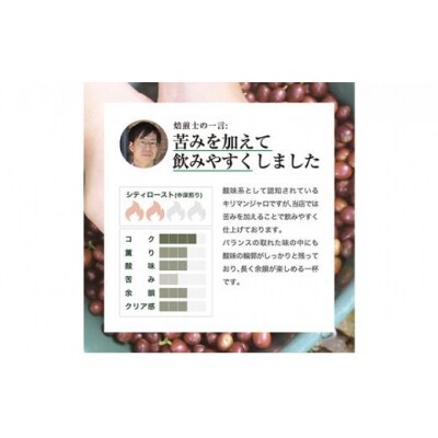 【粉】#902 タンザニア・キリマンジャロ キゴマ キボー ディープブルー AA  310g 