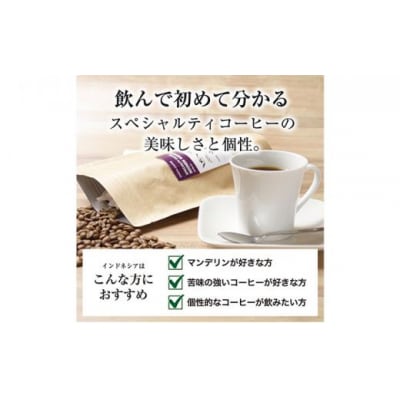 【粉】#906 インドネシア・マンデリン ミトラ G1 コーヒー豆 310g 