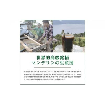 【粉】#906 インドネシア・マンデリン ミトラ G1 コーヒー豆 310g 