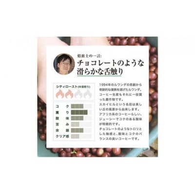 【豆】珈琲 スペシャルティーコーヒー豆ルワンダ スカイヒル 600g