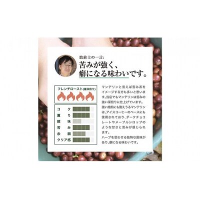 珈琲 スペシャルティーコーヒー豆【豆のまま】インドネシア・マンデリン ミトラ G1 600g