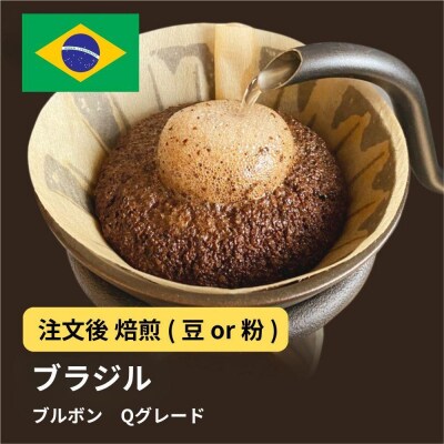 【豆】コーヒー #002 ブラジル ブルボン Qグレード コーヒー 310g 