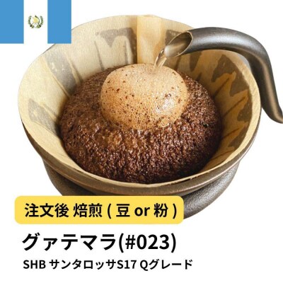 【粉】コーヒー #023 グァテマラSHB サンタロッサS17 310g 
