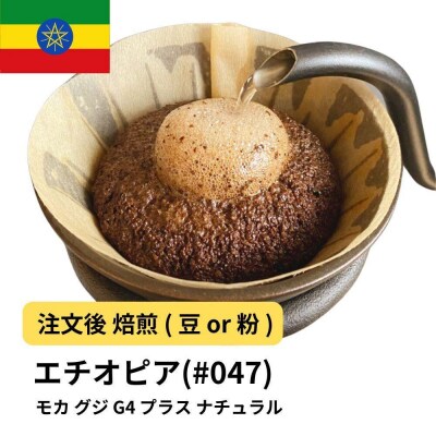 【豆】コーヒー #047 モカ グジ G4 プラス ナチュラル 310g 