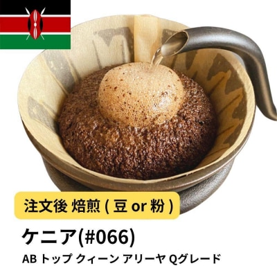 【豆】コーヒー #066 ケニア AB トップ クィーン アリーヤ Qグレード 310g 