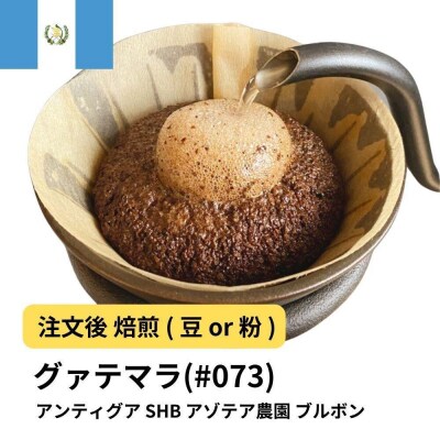 【粉】コーヒー #073 グアテマラ アンティグア SHB アゾテア農園 ブルボン 310g 
