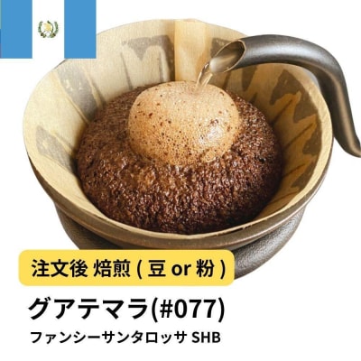 【粉】コーヒー #077 グアテマラ ファンシーサンタロッサ SHB 310g 