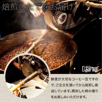 【粉】コーヒー #082 コロンビア スウィートベリー SUP 310g 