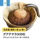 【粉】コーヒー #250 グアテマラ デカフェ ウォータープロセス 310g 