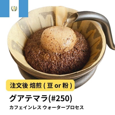【粉】コーヒー #250 グアテマラ デカフェ ウォータープロセス 310g 
