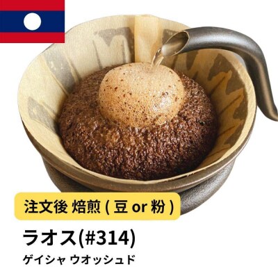 【粉】コーヒー #314 ラオス ゲイシャ100% ウオッシュド 310g 