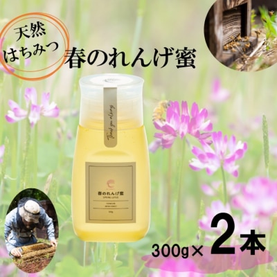 春のれんげ蜜 2本 セット 合計600g (300g×2本) AS-8108