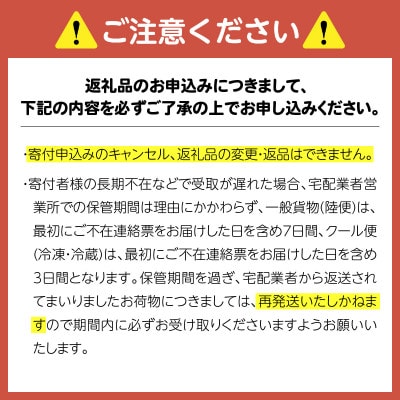 【キリン】一番搾り 500ml × 24本セット