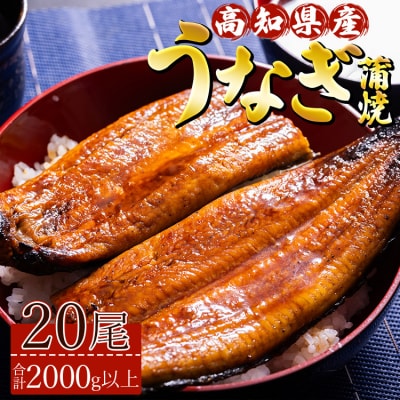 高知県産養殖うなぎ蒲焼 20尾(合計2000g以上) ss-0042