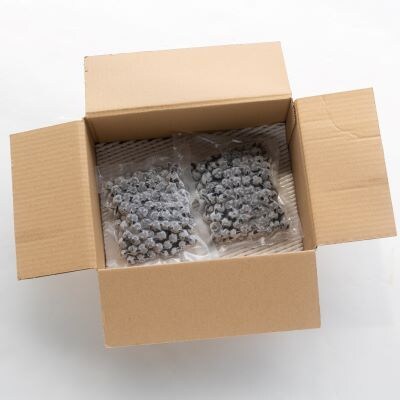 完熟 冷凍ブルーベリー 約600g(200g×3) 小分け yg-0027