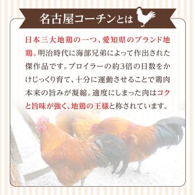 【はなぶさ精肉店】犬用おやつ ささみと野菜のジャーキー(かぼちゃ&にんじん)セット