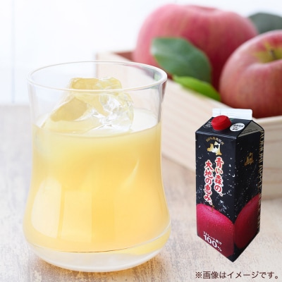 ストレートりんごジュース 1000ml×6本|24_bny-010601