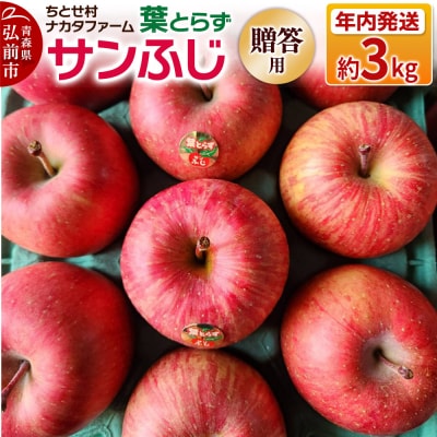 りんご 葉とらずサンふじ 約3kg 贈答用 ちとせ村|24_cmn-040301a