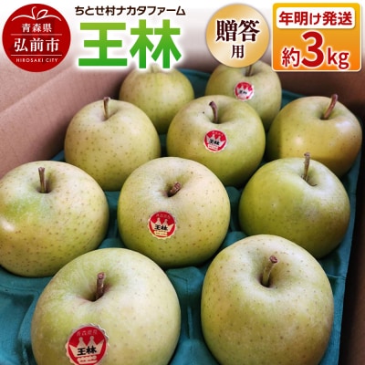りんご 王林 約3kg 贈答用 ちとせ村|24_cmn-050301b