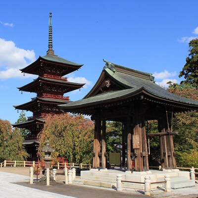 【タクシーでらくらく移動】着地型弘前さくらまつり見学ツアー 4名様ご招待|24_flk-020401