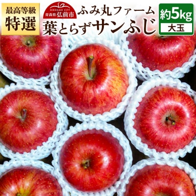 りんご 最高等級「特選」大玉 葉とらず サンふじ 約5kg|24_fmf-050501