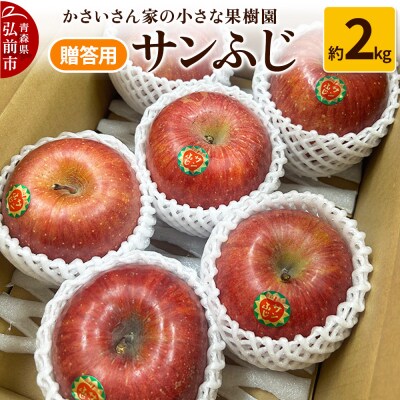 【25年11月～発送】りんご サンふじ 約2kg【贈答用】|24_kck-020301