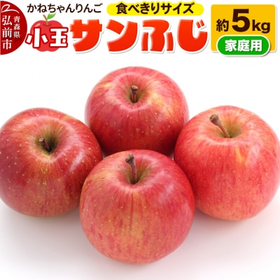 【りんご】かねちゃんりんご 家庭用 小玉 サンふじ 約 5kg|24_kcr-010501