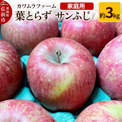 りんご【先行受付】葉とらず サンふじ 約3kg カワムラファーム 家庭用|24_kmf-010301