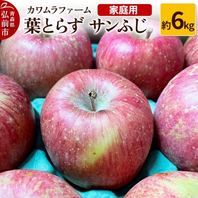 りんご【先行受付】葉とらず サンふじ 約6kg カワムラファーム 家庭用|24_kmf-010601