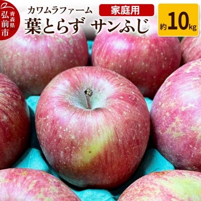 りんご【先行受付】葉とらず サンふじ 約10kg カワムラファーム家庭用|24_kmf-011001