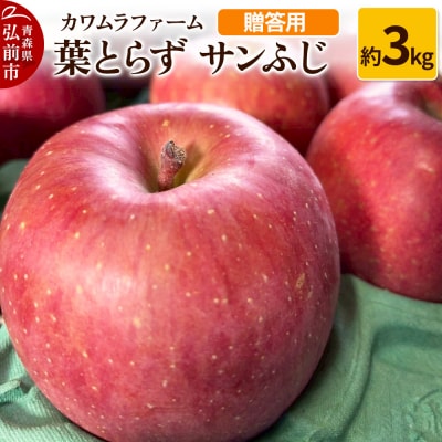 りんご【先行受付】葉とらず サンふじ 約3kg カワムラファーム 贈答用|24_kmf-020301