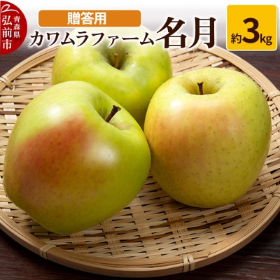 りんご【先行受付】名月 約3kg カワムラファーム 贈答用|24_kmf-050301