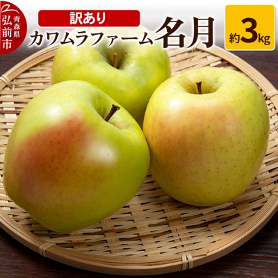 りんご【先行受付】名月 約3kg カワムラファーム 訳あり|24_kmf-060301