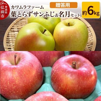 りんご【先行受付】葉とらず サンふじ & 名月 セット 約6kg 贈答用|24_kmf-080601
