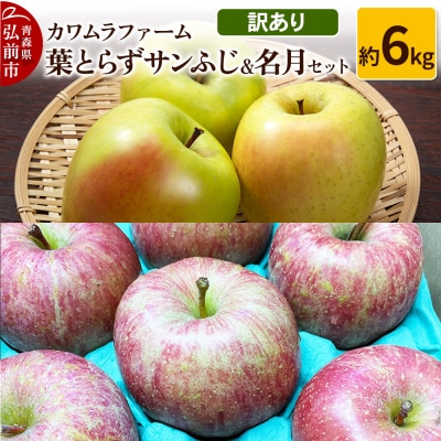 りんご【先行受付】葉とらず サンふじ & 名月 セット 約6kg 訳あり|24_kmf-090601