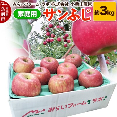 【25年12月発送】りんご【家庭用】サンふじ 約3kg|24_mlk-090301