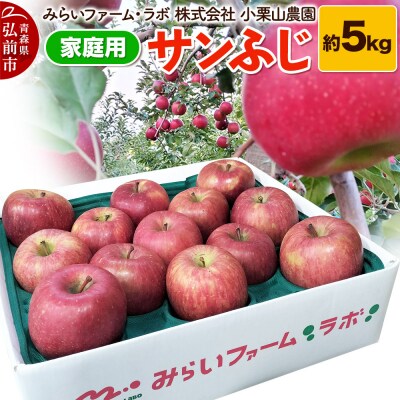 【25年12月発送】りんご【家庭用】サンふじ 約5kg|24_mlk-090501