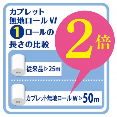 【2ヵ月毎定期便】トイレットペーパー　ダブル　カプレット無地　2倍巻き　60ロール(無包装)全3回
