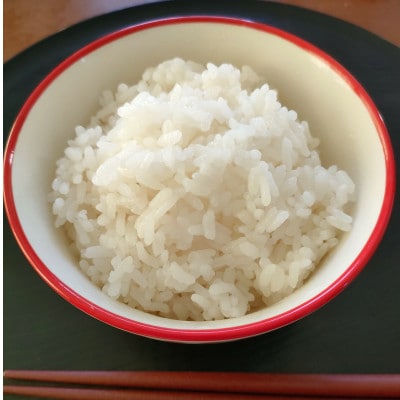 岐阜の米ハツシモ白米計5kg　真空パック2.5kg×2パック