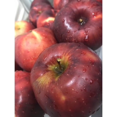 庵 ☆ アップルパイ
