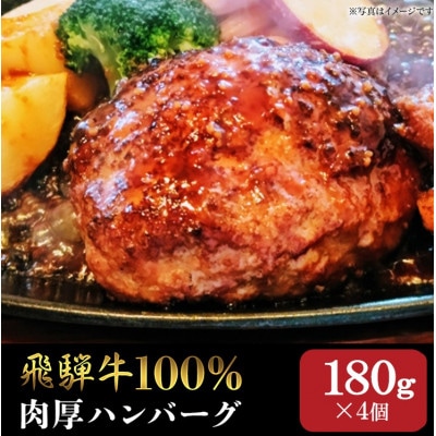 飛騨牛100% 生ハンバーグ(180g×4個) 個包装