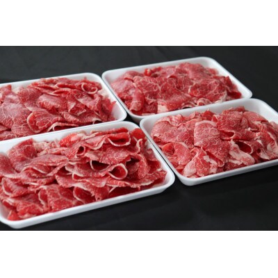 【毎月定期便】【飛騨牛】切り落としスライス 1kg (250g×4)全6回