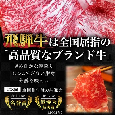 【毎月定期便】【飛騨牛】切り落としスライス 1kg (250g×4)全12回