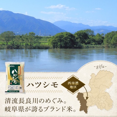 【令和7年産】岐阜県産　ハツシモ5kg　精米