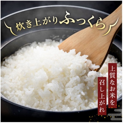 【令和7年産】岐阜県産　飛騨こしひかり5kg　精米