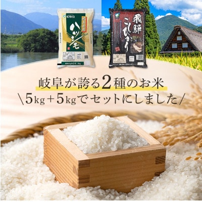 【令和7年産】岐阜県産　ハツシモ　飛騨こしひかり食べ比べセット(5kg×2袋)精米
