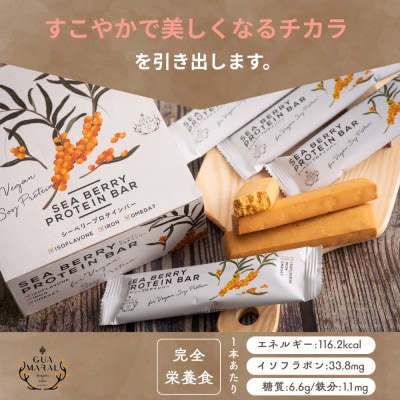 サジープロテインバー 1箱 (12本入) シーベリー グルテンフリー