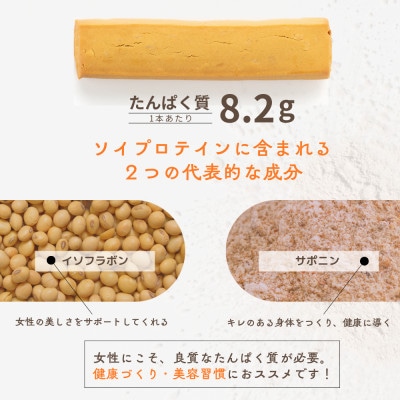 サジープロテインバー 1箱 (12本入) シーベリー グルテンフリー