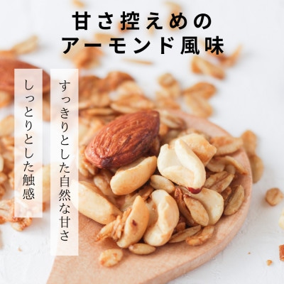 サジープロテインバー 1箱 (12本入) シーベリー グルテンフリー