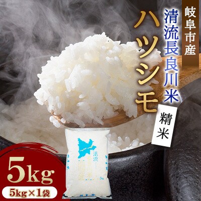 岐阜市産 ハツシモ 清流長良川米  精米 5kg